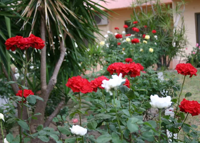 Aparthotel Lyristis Dinos &