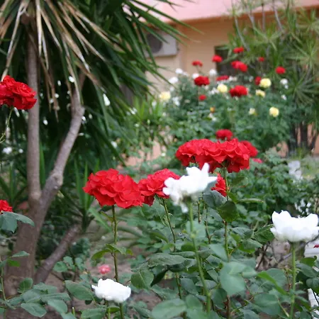 Hotel de apartamente Lyristis Dinos &